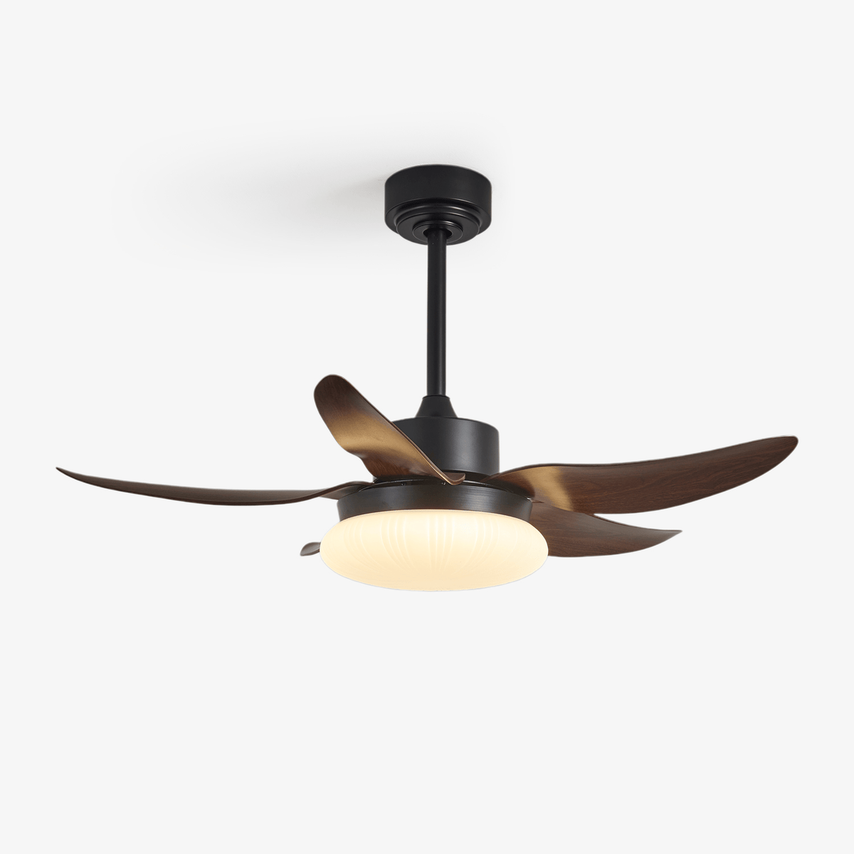 Ventilador de techo con luz Palmira – vista principal