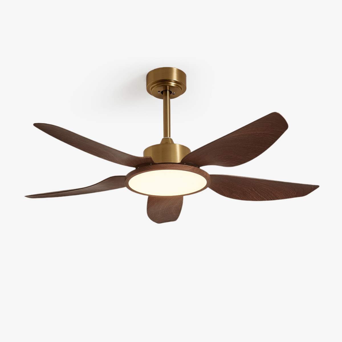 Ventilador de techo con luz Xalora – vista principal