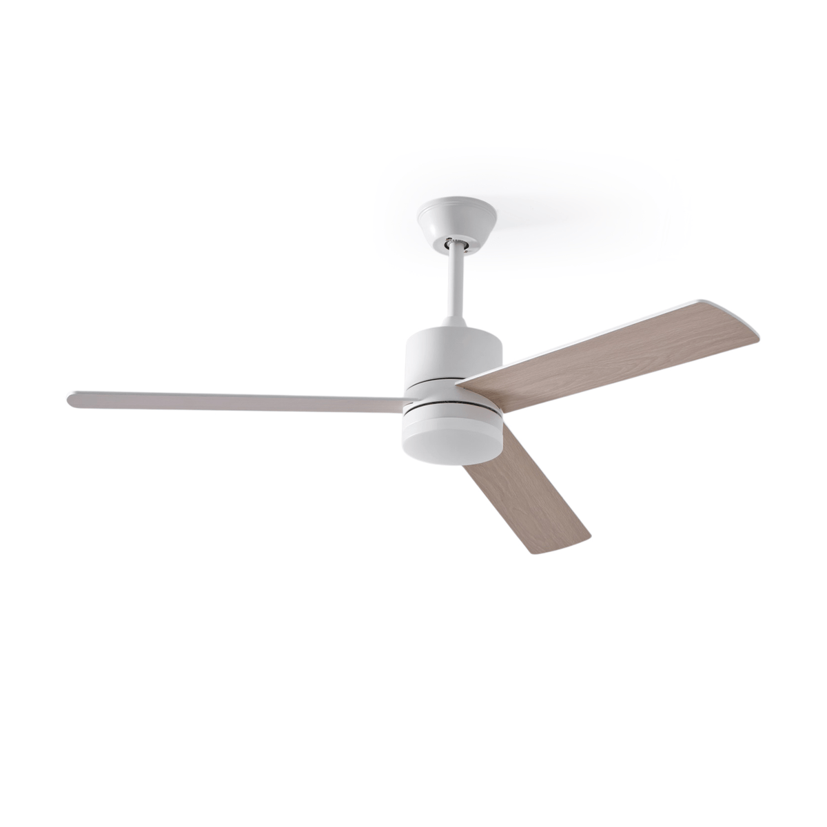 Ventilador de techo con luz Albora en un salón luminoso – imagen 16
