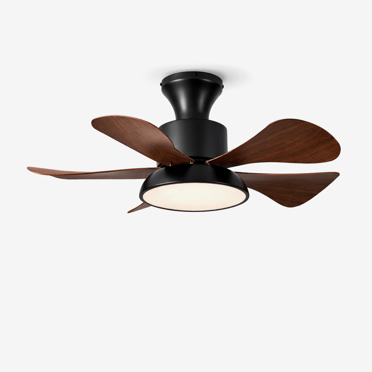 Ventilador de techo con luz Avela – vista principal