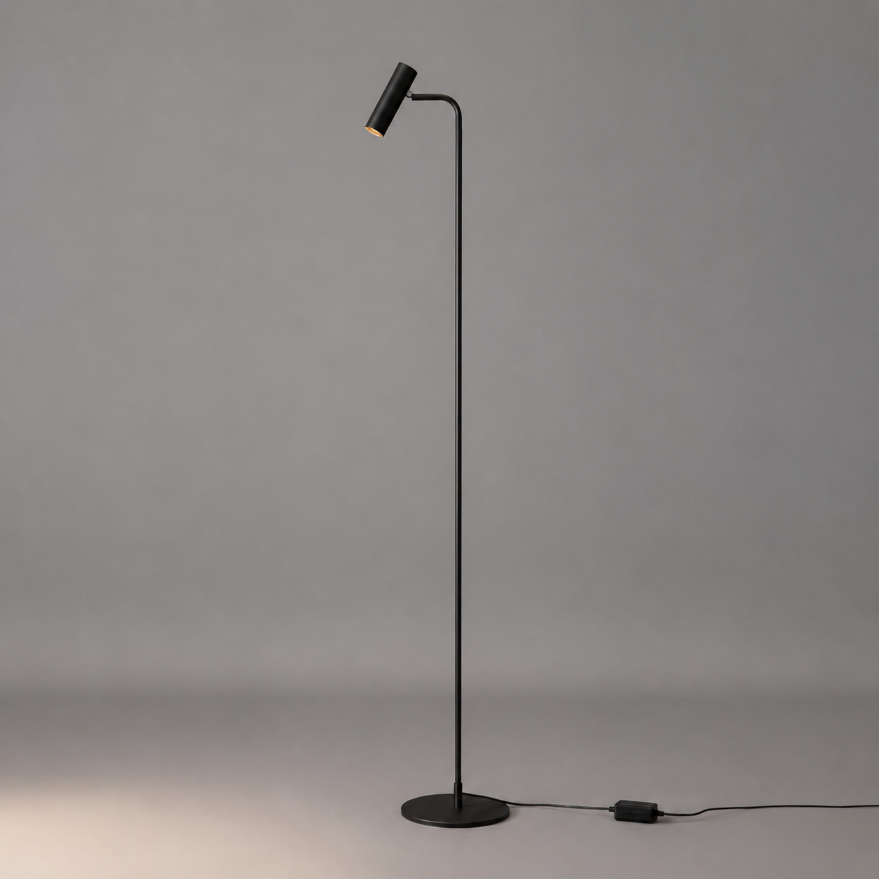 Arvex - Lámpara de Pie con Cabezal Ajustable y Luz LED de Tres Colores