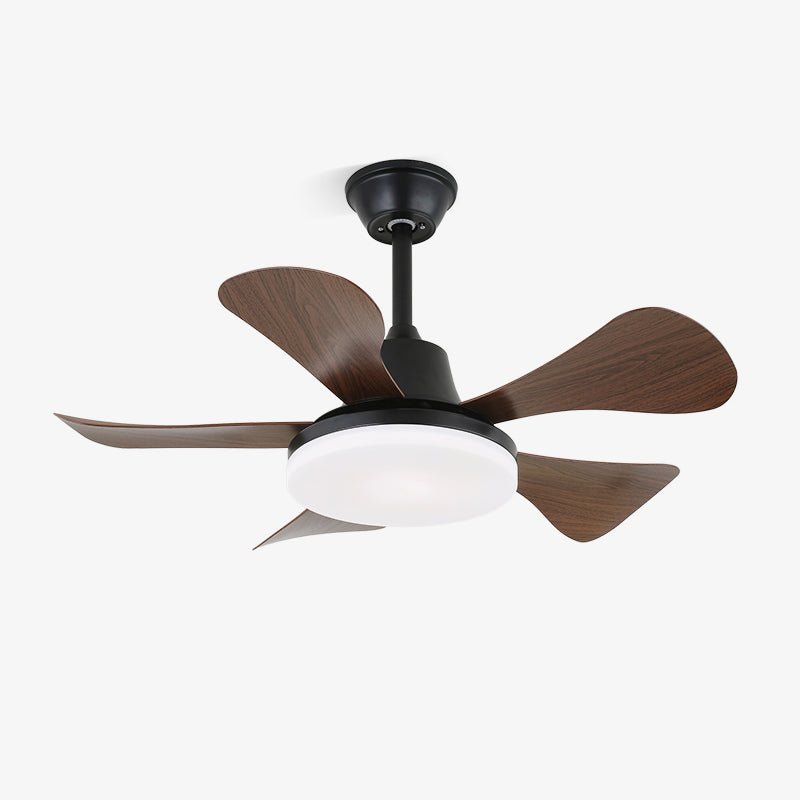 Ventilador de techo con luz Tamiza – vista principal