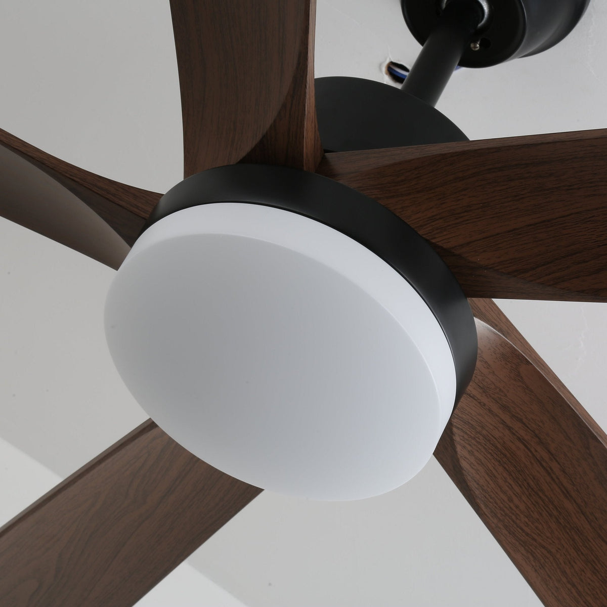 Ventilador de techo con luz Olmeda en un salón cálido – imagen 10