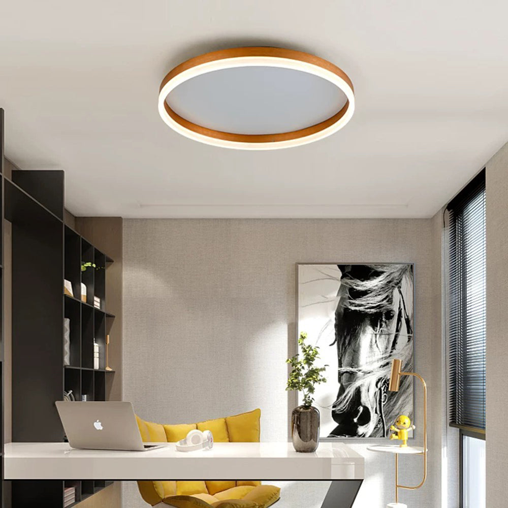 Luzara - Lámpara de Techo LED Moderna y Minimalista