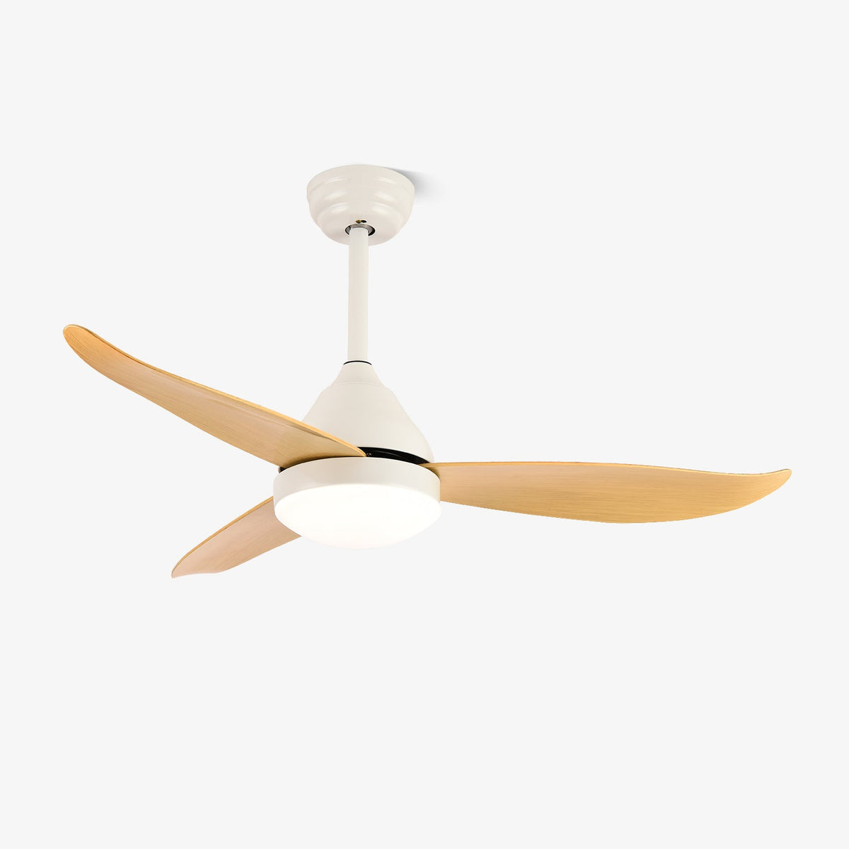 Ventilador de techo con luz Fiordia – vista principal