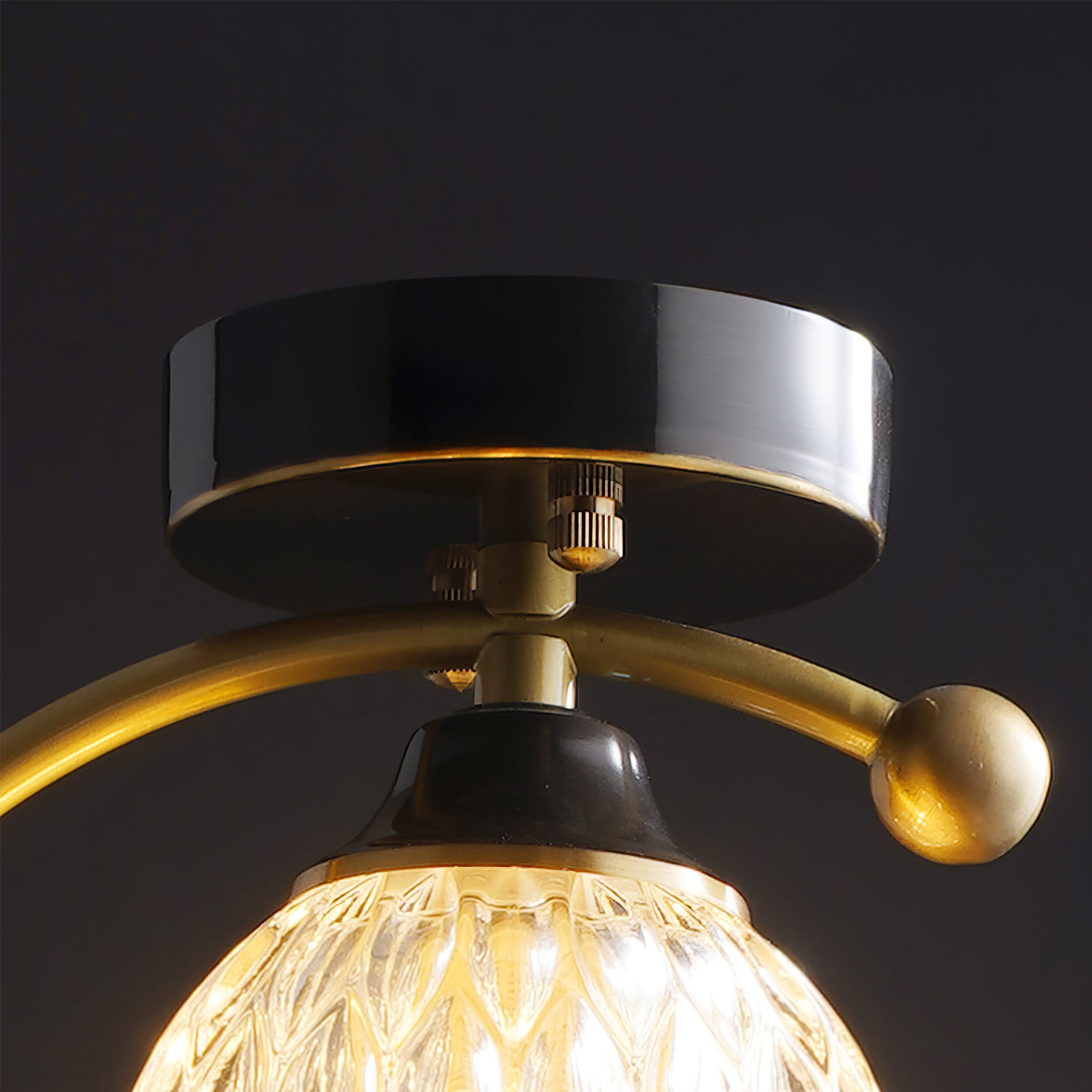 Plafón de techo con pájaro Canora en un recibidor acogedor – imagen 10