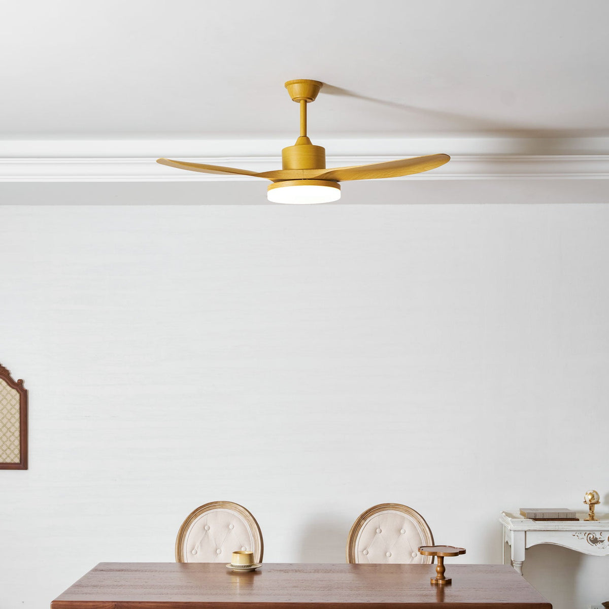 Ventilador de techo con luz Fresnia – vista principal