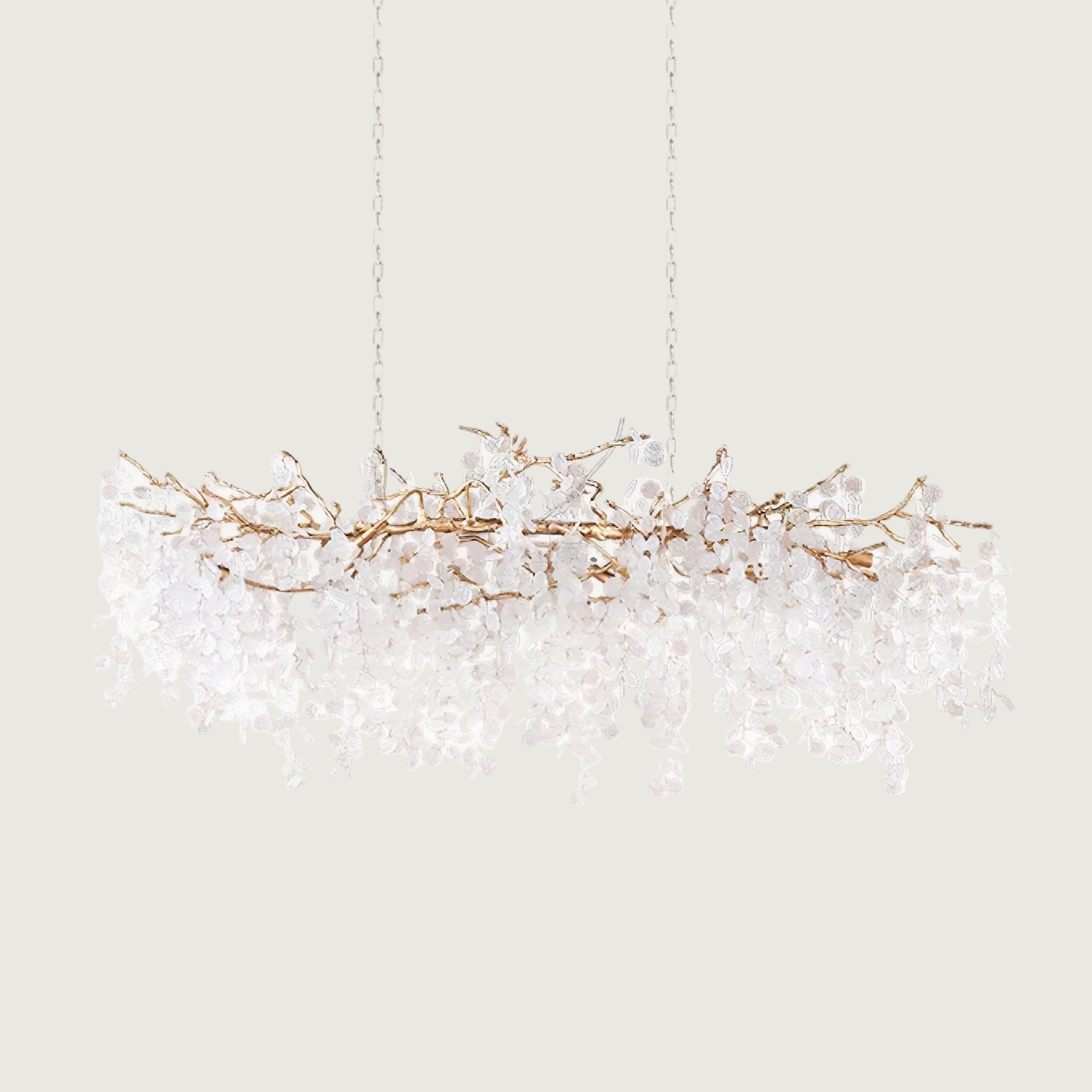 Lámpara de Araña de Cristal Moderna 65 cm en Latón y Vidrio con Cadena Ajustable para Salones y Comedores 1