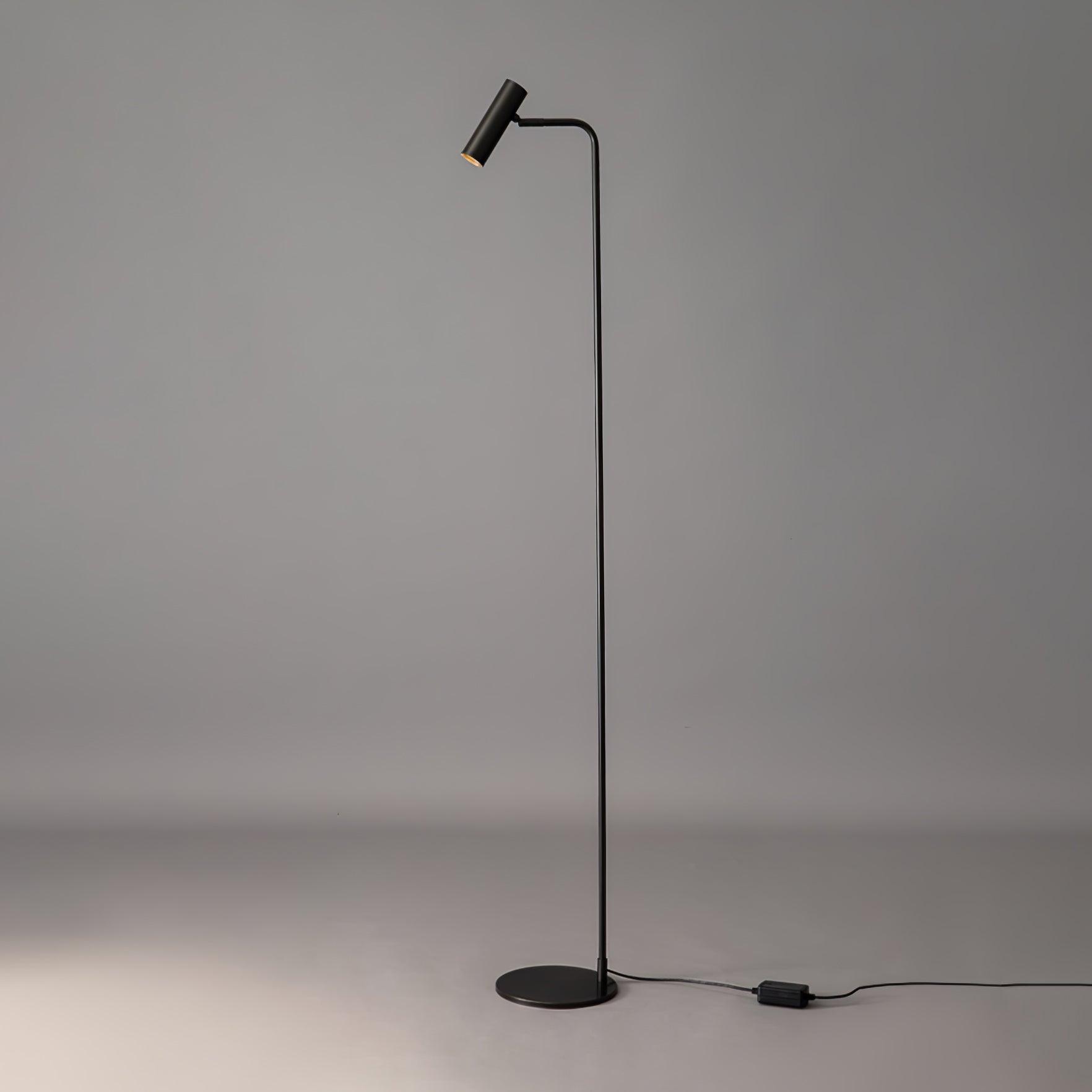 Lámpara de Pie Torris con Cabezal Ajustable y Luz LED de Tres Colores – Acabado en Latón Satinado 0