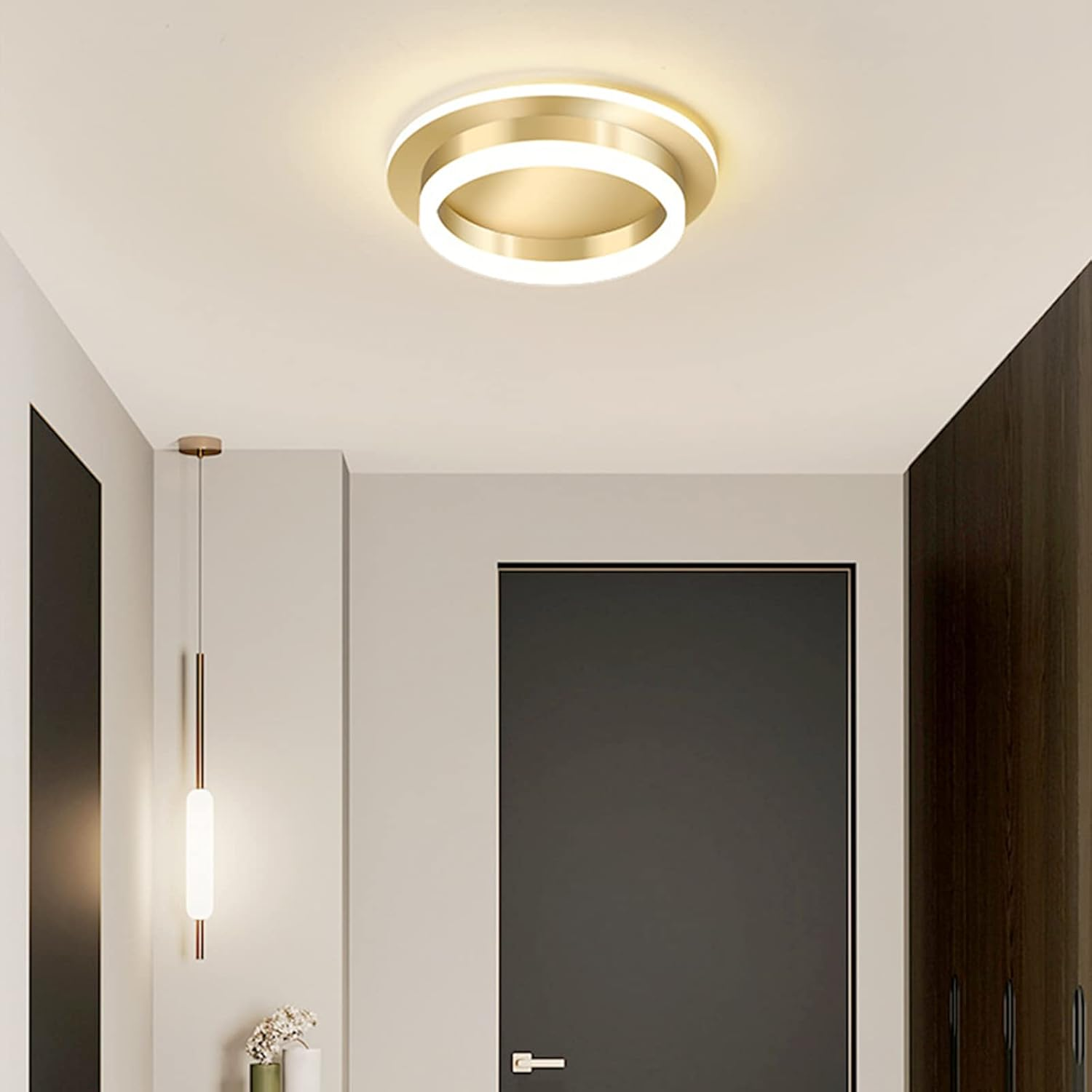 Lámpara de Techo Acrílica Moderna para Pasillo – Diseño Minimalista y Elegante 0