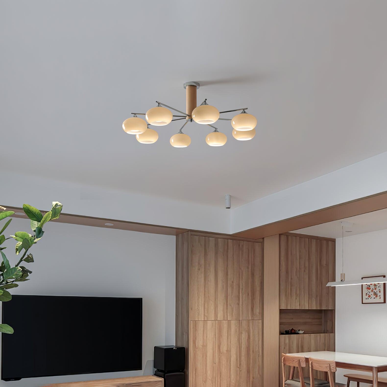 Lámpara de Techo Elíptica de Vidrio Persimón, 3/6/8 Lámparas, Diseño Moderno, Altura Ajustable, Ideal para Interiores 5