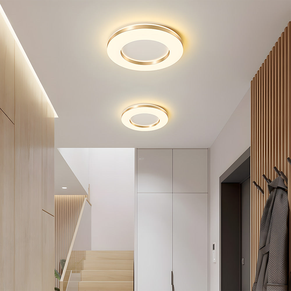 Lámpara de Techo LED Regulable de Hierro, Diseño Moderno para Sala de Estar, Iluminación Suave y Eficiente 1