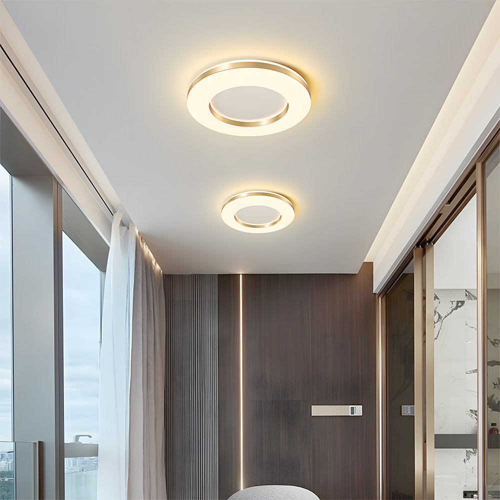 Lámpara de Techo LED Regulable de Hierro, Diseño Moderno para Sala de Estar, Iluminación Suave y Eficiente 2