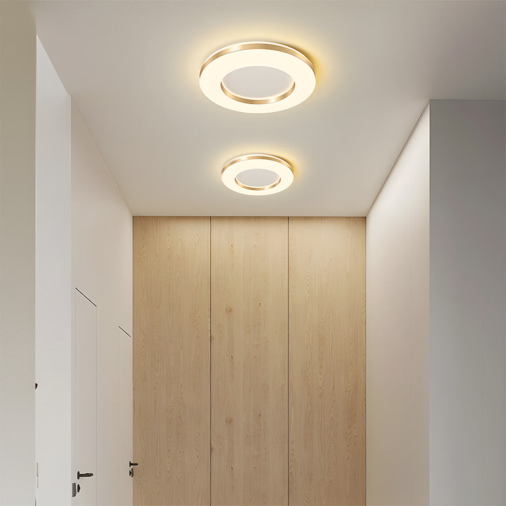 Lámpara de Techo LED Regulable de Hierro, Diseño Moderno para Sala de Estar, Iluminación Suave y Eficiente 3