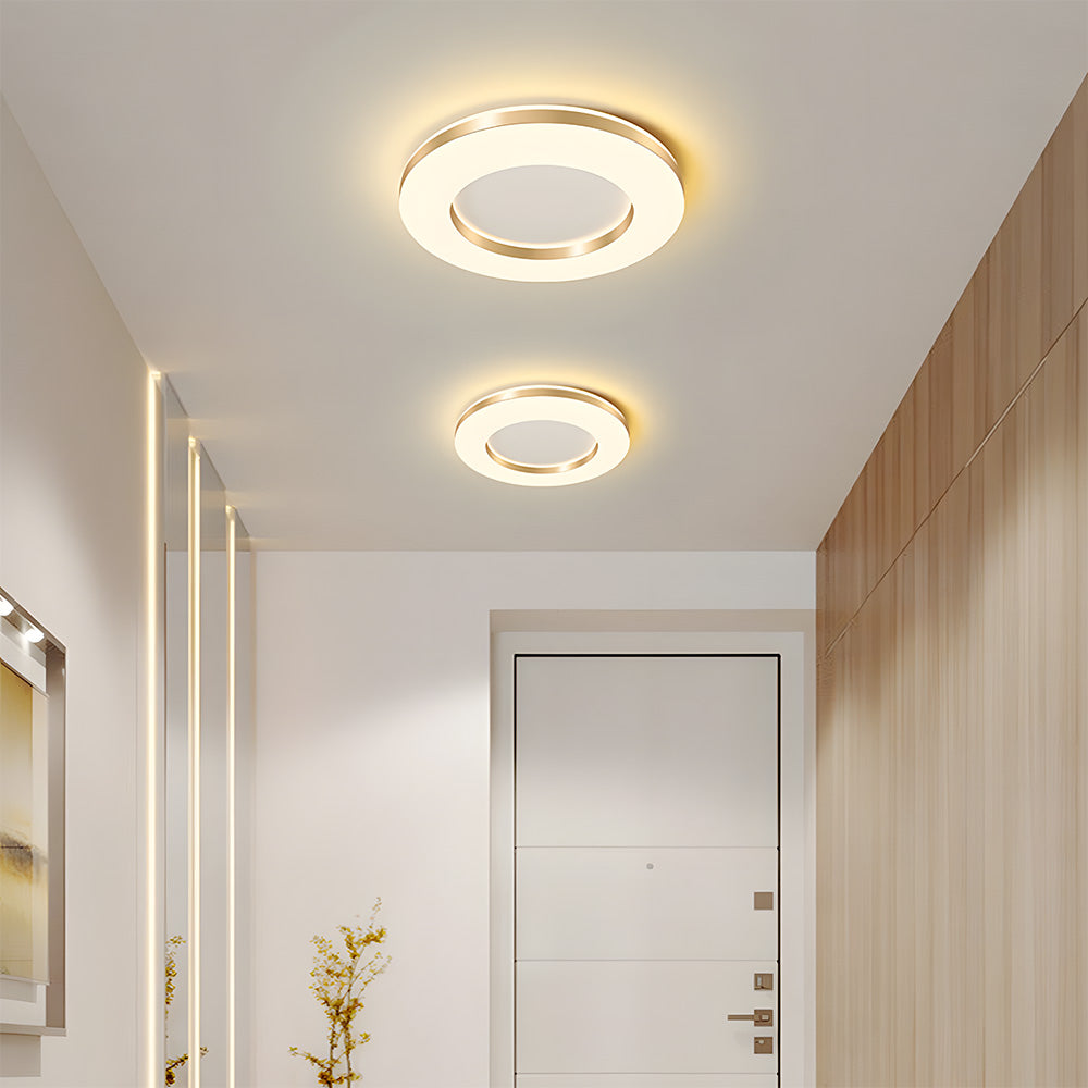 Lámpara de Techo LED Regulable de Hierro, Diseño Moderno para Sala de Estar, Iluminación Suave y Eficiente 4