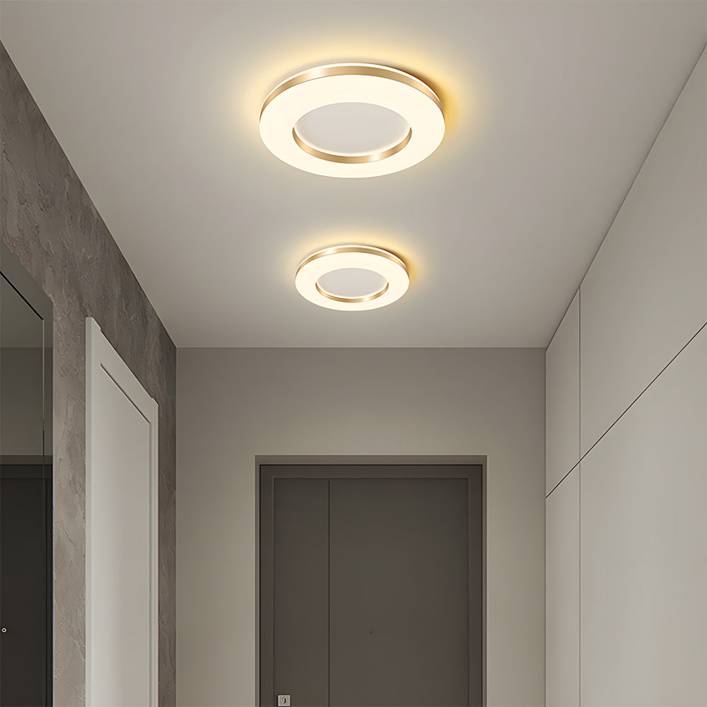 Lámpara de Techo LED Regulable de Hierro, Diseño Moderno para Sala de Estar, Iluminación Suave y Eficiente 5