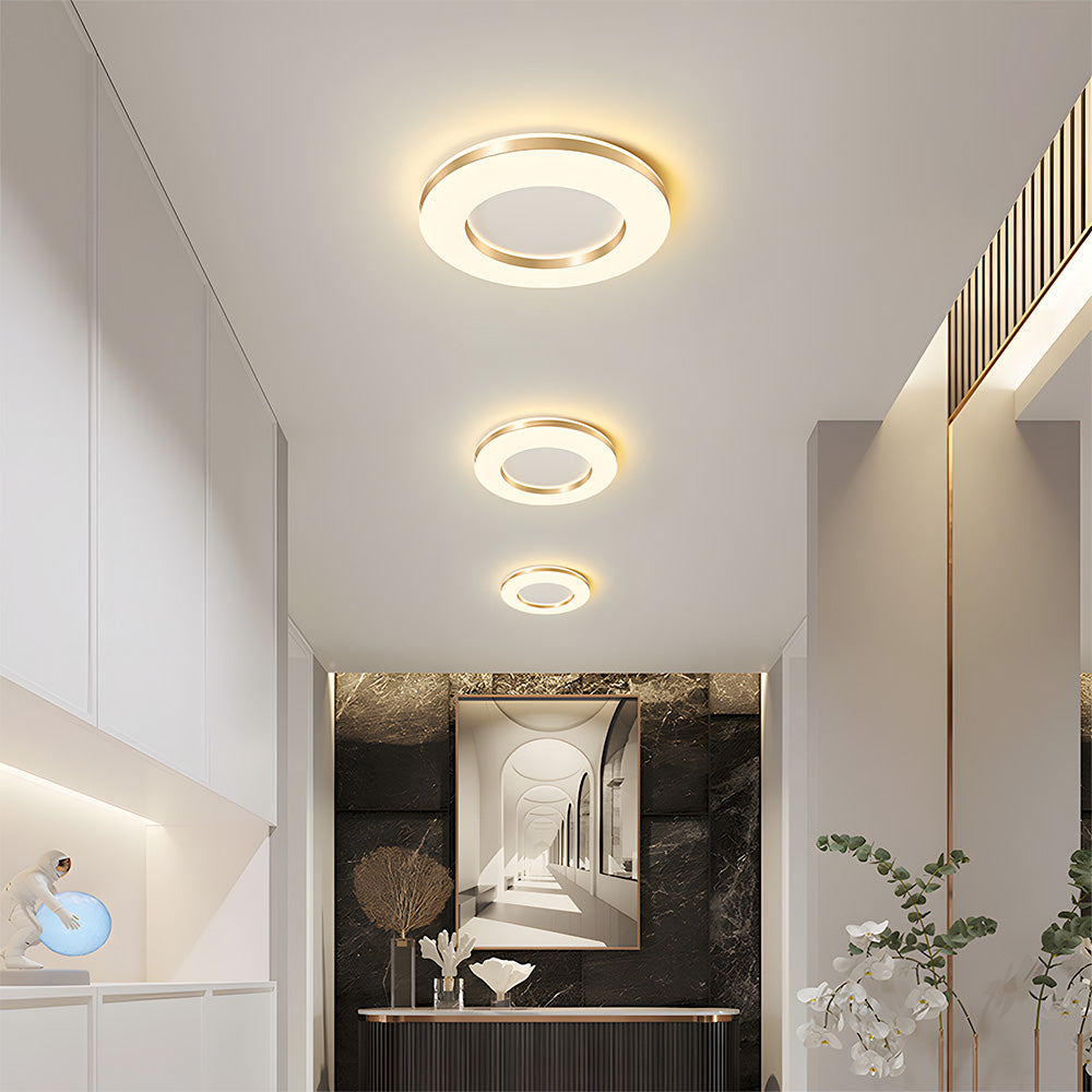 Lámpara de Techo LED Regulable de Hierro, Diseño Moderno para Sala de Estar, Iluminación Suave y Eficiente 6