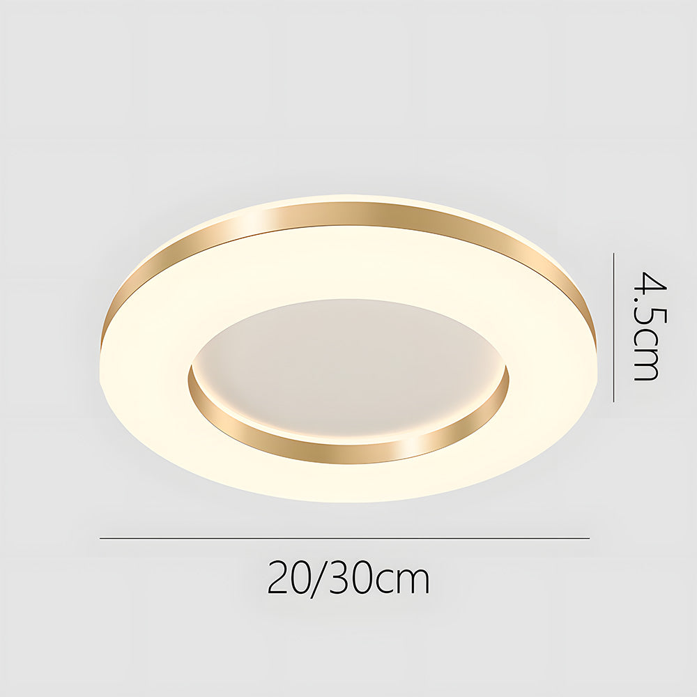 Lámpara de Techo LED Regulable de Hierro, Diseño Moderno para Sala de Estar, Iluminación Suave y Eficiente 7