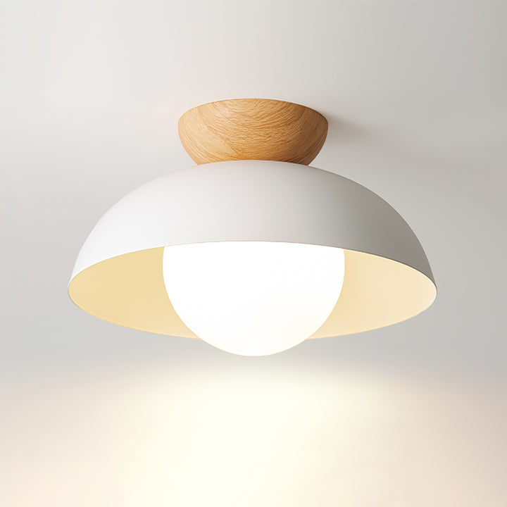 Lámpara de Techo Moderna Minimalista Ecológica Estilo Nórdico en Blanco y Negro - Plafón de Techo con Base G9 0