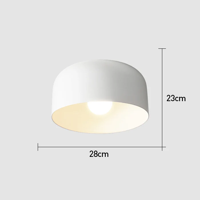 Lámpara de Techo Moderna de Hierro Flush para Comedor y Salón - Iluminación Elegante y Duradera 2