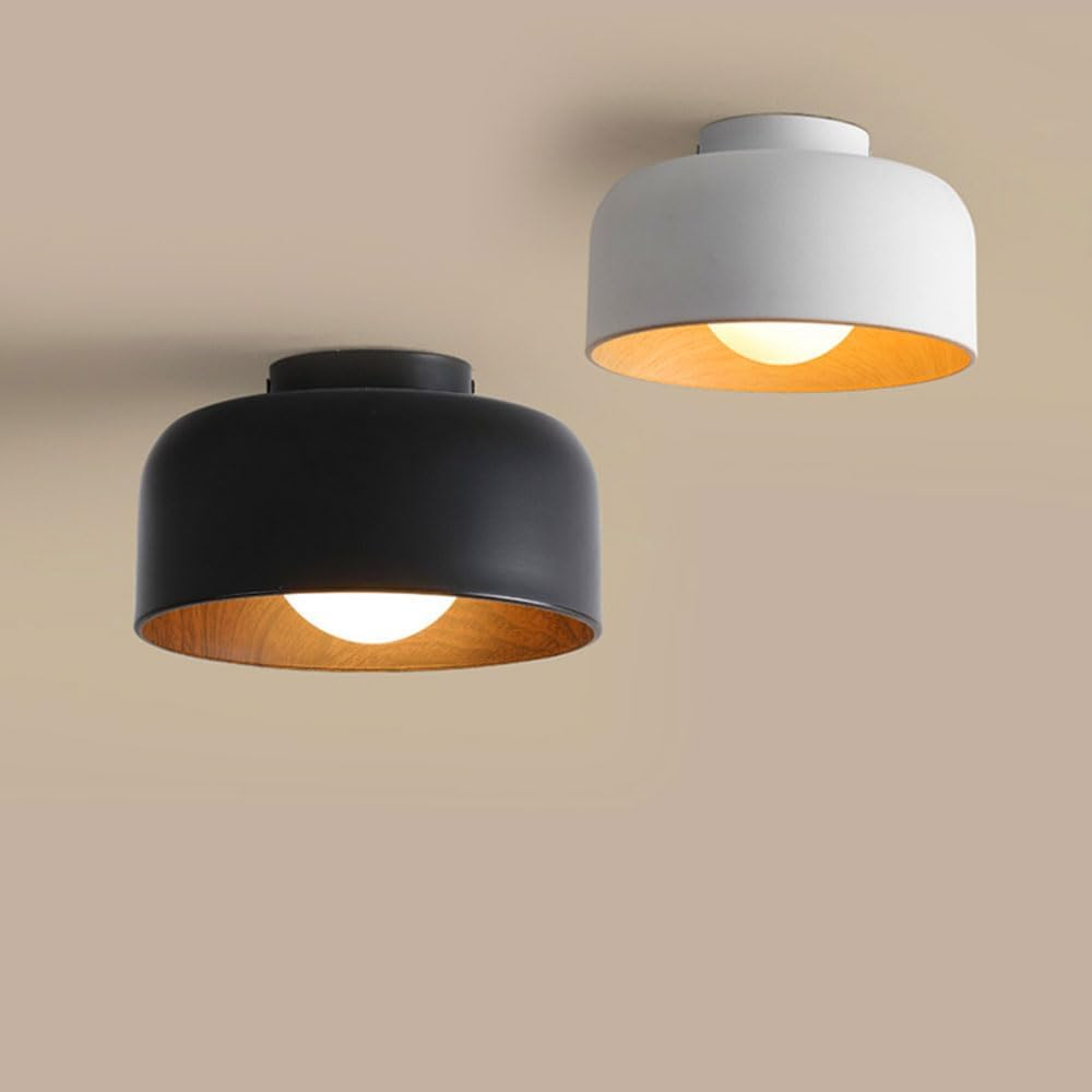 Lámpara de Techo Moderna de Metal Minimalista, Diámetro 22cm, Altura 13cm, Estilo Contemporáneo, Base G9 1