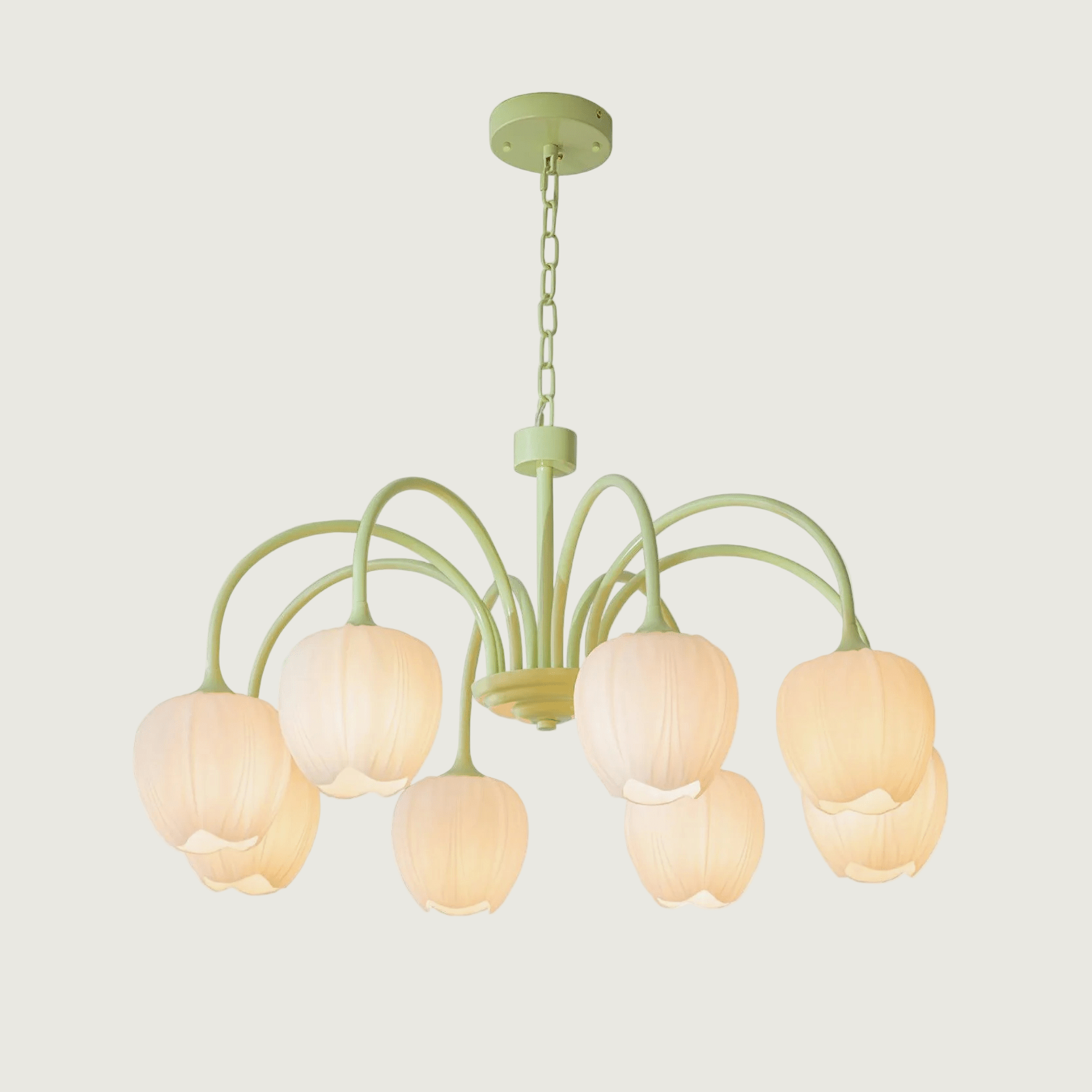 Lámpara de Techo Tulip Matcha con Pantalla de Vidrio Blanco y Estilo Moderno – Disponible en 5, 6 y 8 Luces 1
