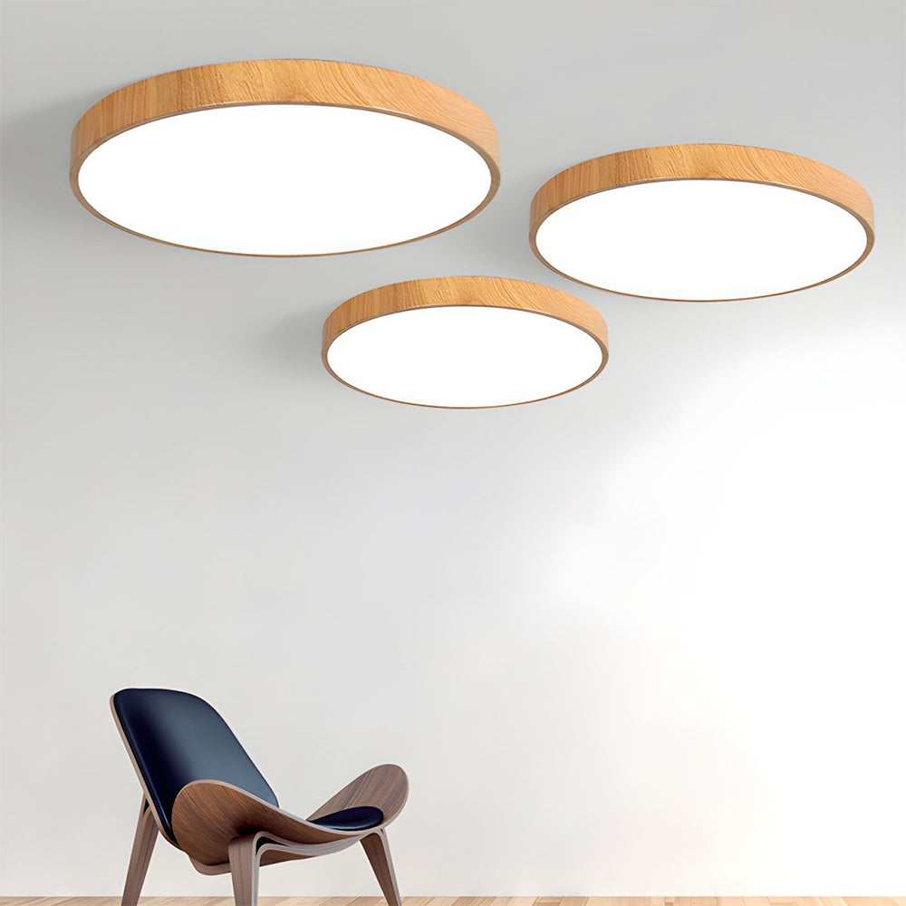 Lámpara de Techo de Hierro Forjado LED, Diseño Moderno y Elegante, Opciones de Potencia 12W a 60W, Ideal para Salones y Comedores 7