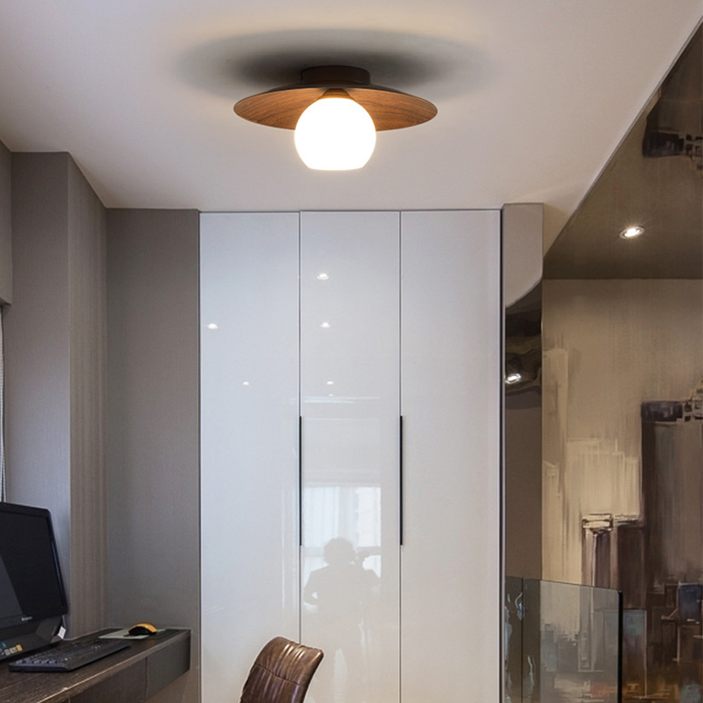 Lámparas de Techo Minimalistas Modernas para Entrada – Diseño Elegante y Funcional 4