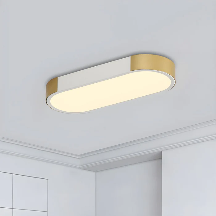 Luz de Techo LED Moderna de Hierro para Sala de Estar – Diseño Chic y Eficiente 12