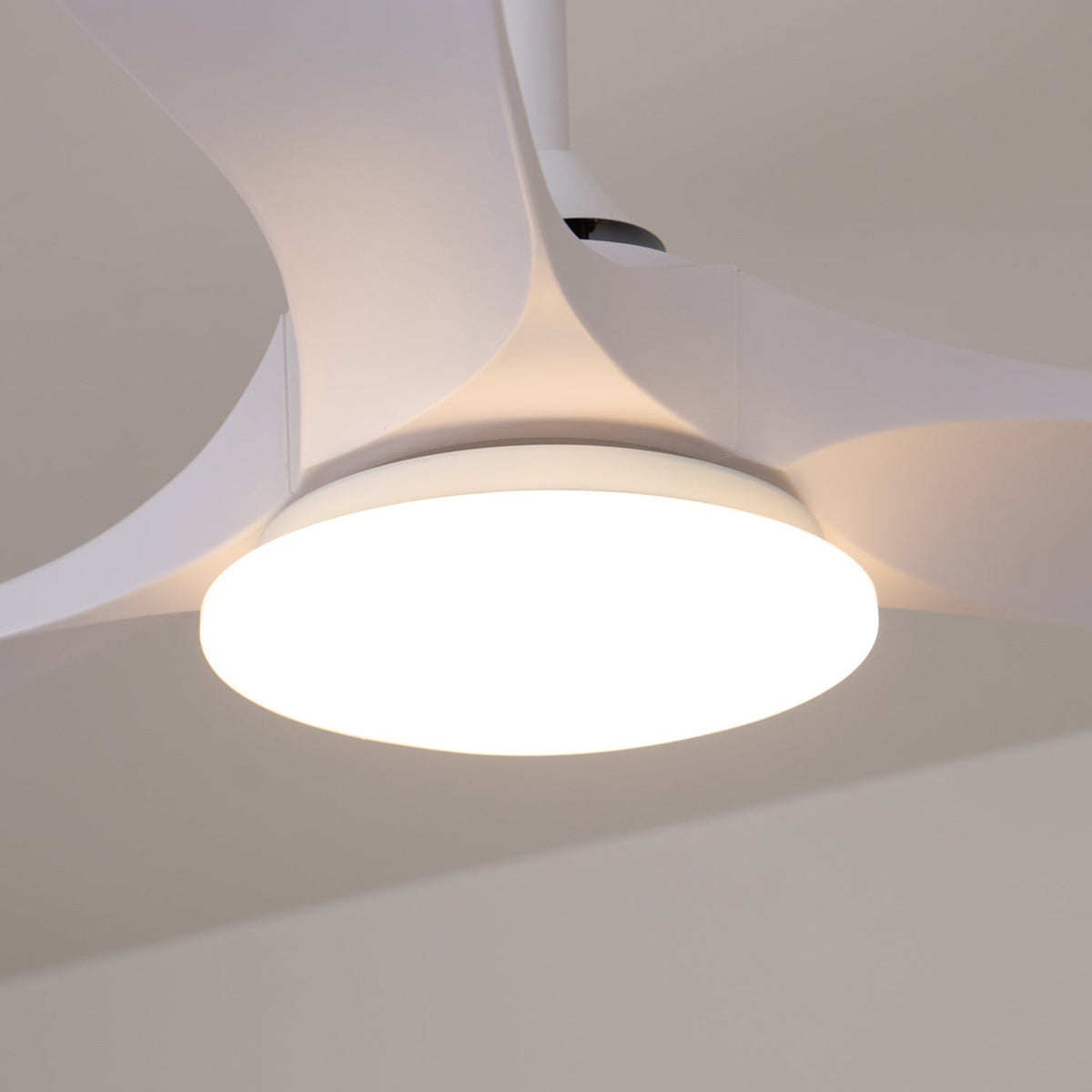 Ventilador de techo con luz Tilara en un salón natural – imagen 23