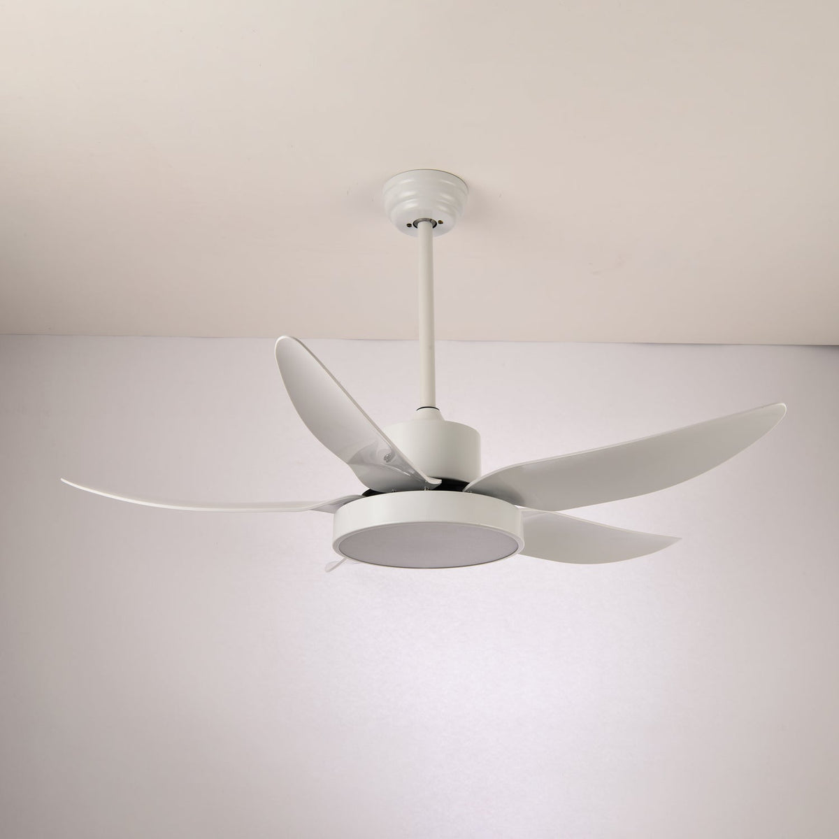 Ventilador de techo con luz Planeo en un salón moderno – imagen 15