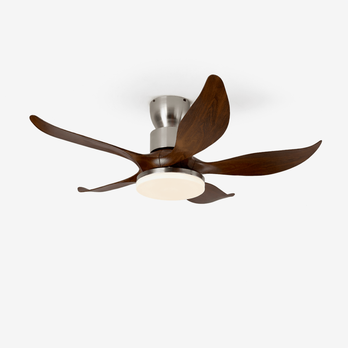 Ventilador de techo con luz Ramaje – vista principal