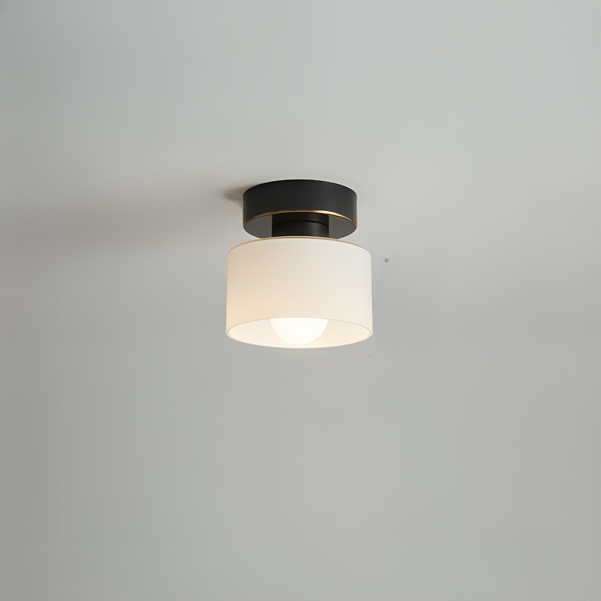 Plafón foco de techo Fulgena – negro y blanco