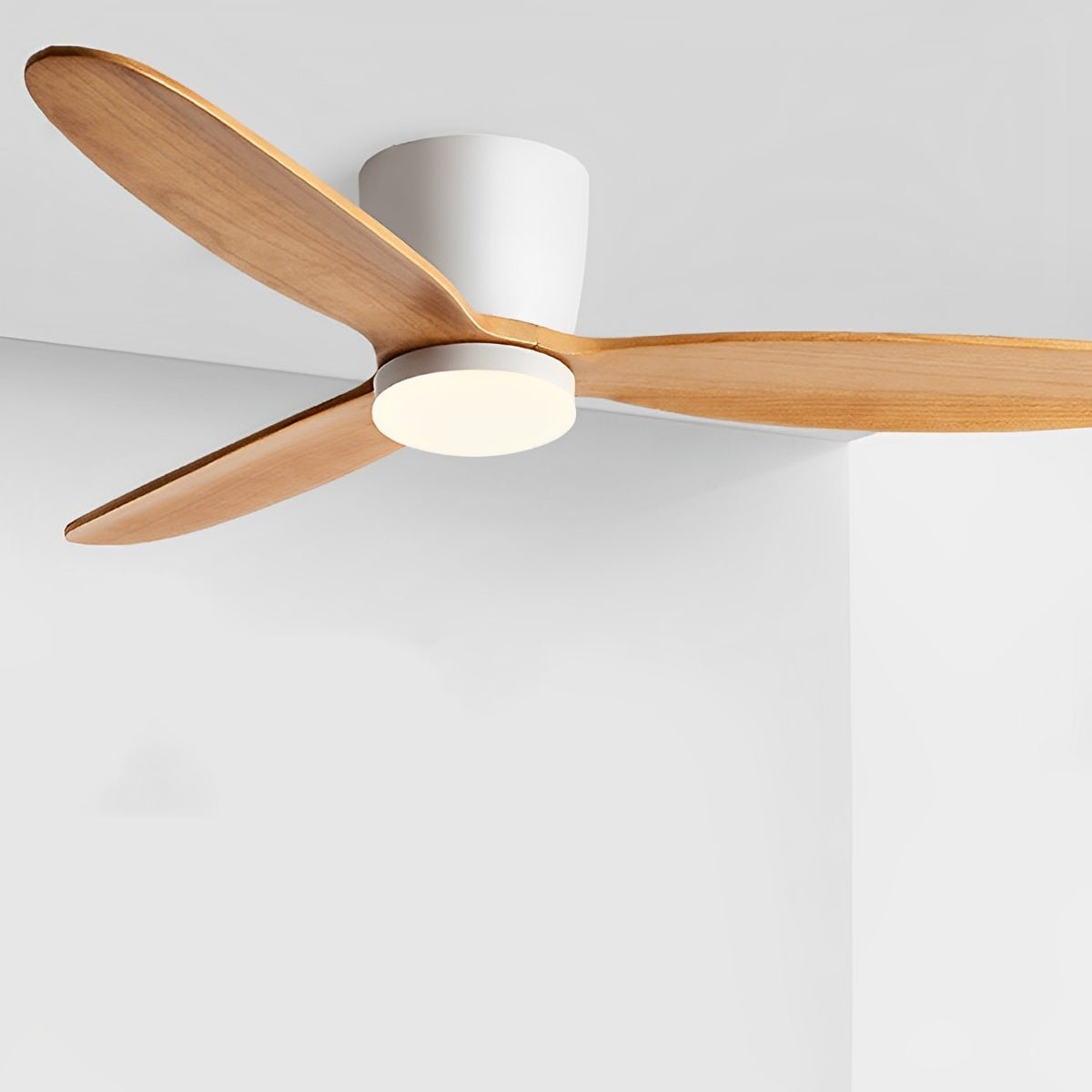 Ventilador de techo con luz Escandia – vista principal
