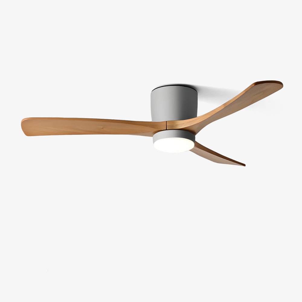 Ventilador de techo con luz Alisio – vista principal