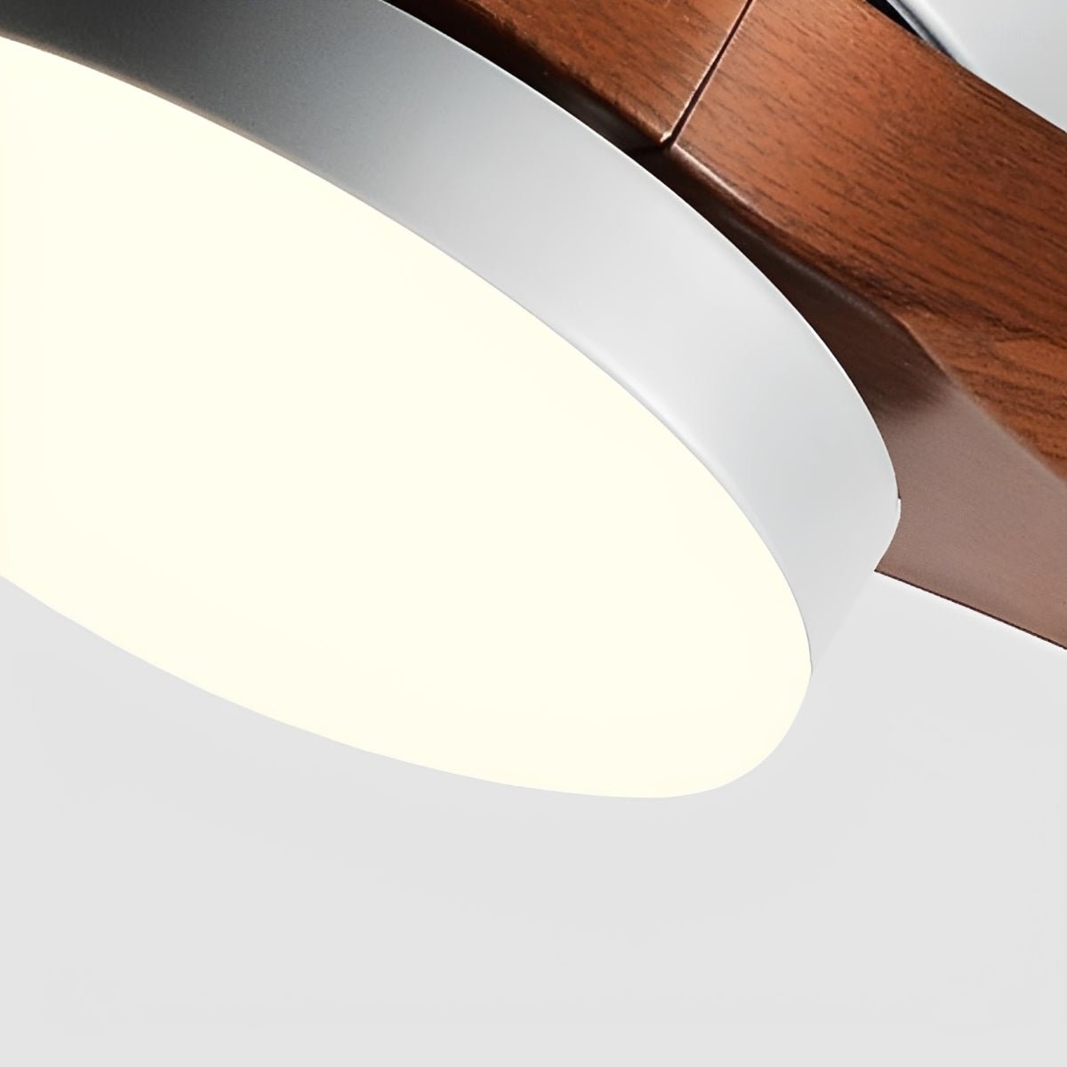 Ventilador de techo con luz Ventura detalle del diseño – imagen 11