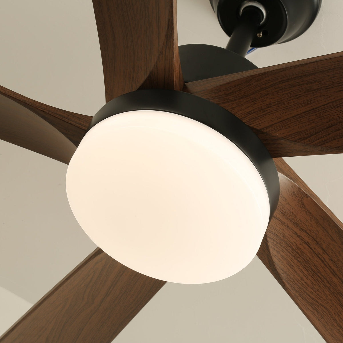 Ventilador de techo con luz Olmeda en un salón cálido – imagen 9