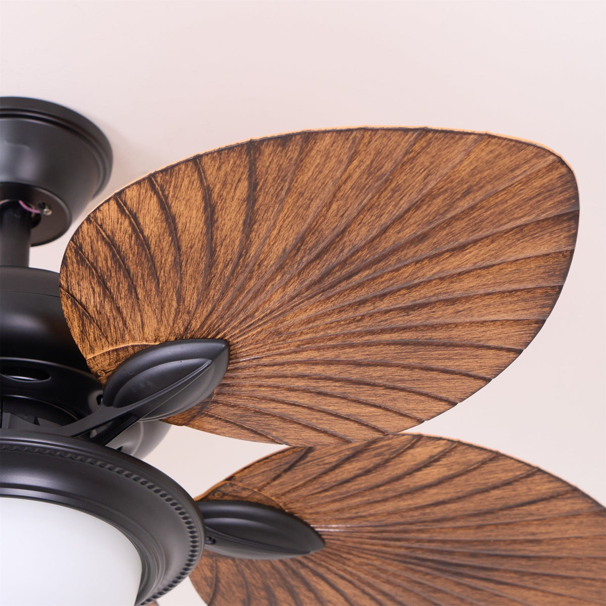 Ventilador de techo con luz Banara en un salón de estilo tropical – imagen 10