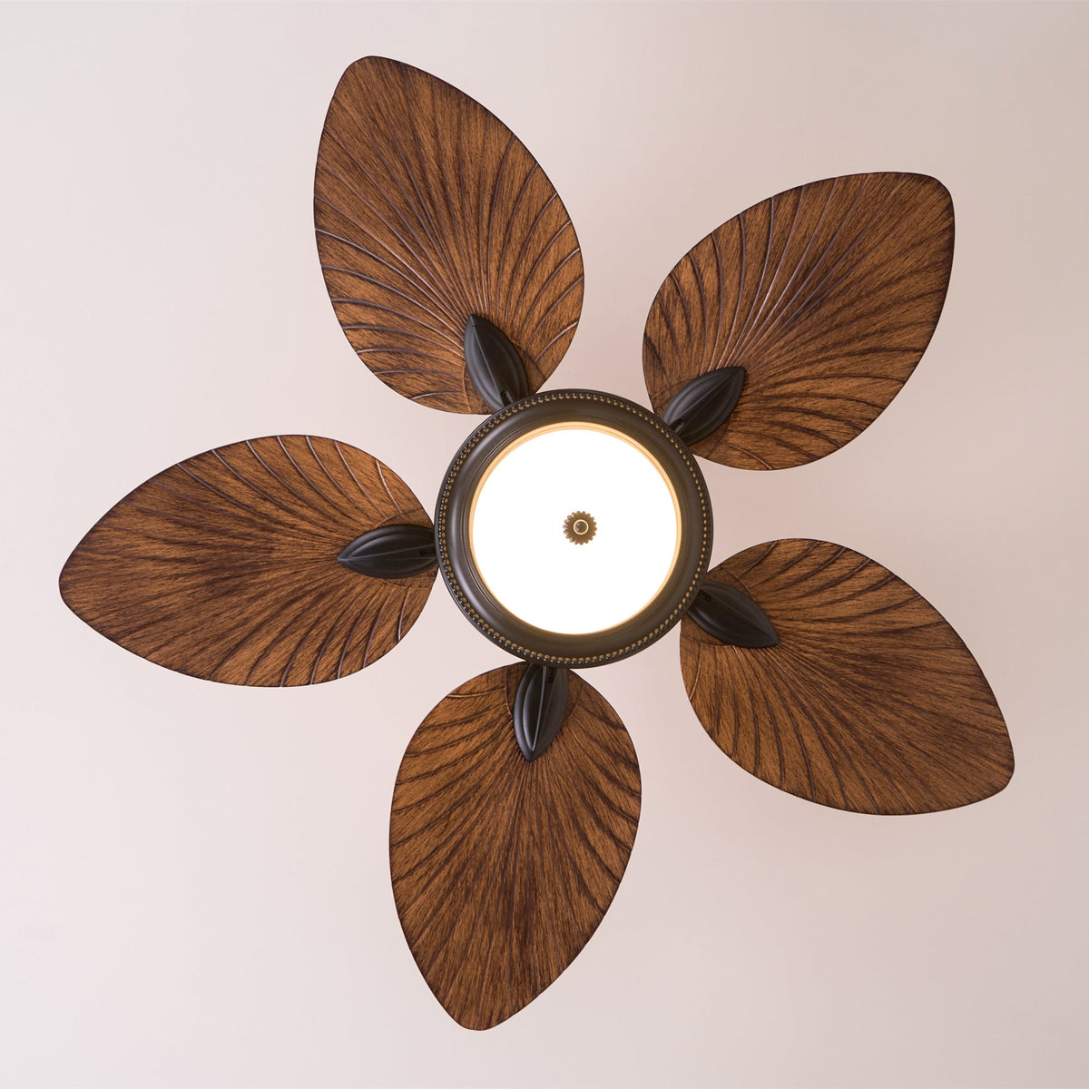 Ventilador de techo con luz Banara en un salón de estilo tropical – imagen 9
