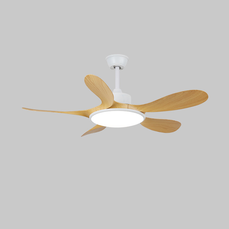 Ventilador de techo con luz Calmira en un salón contemporáneo – imagen 18