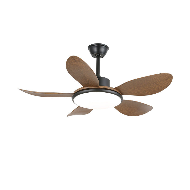Ventilador de techo con luz Calmira en un salón contemporáneo – imagen 19