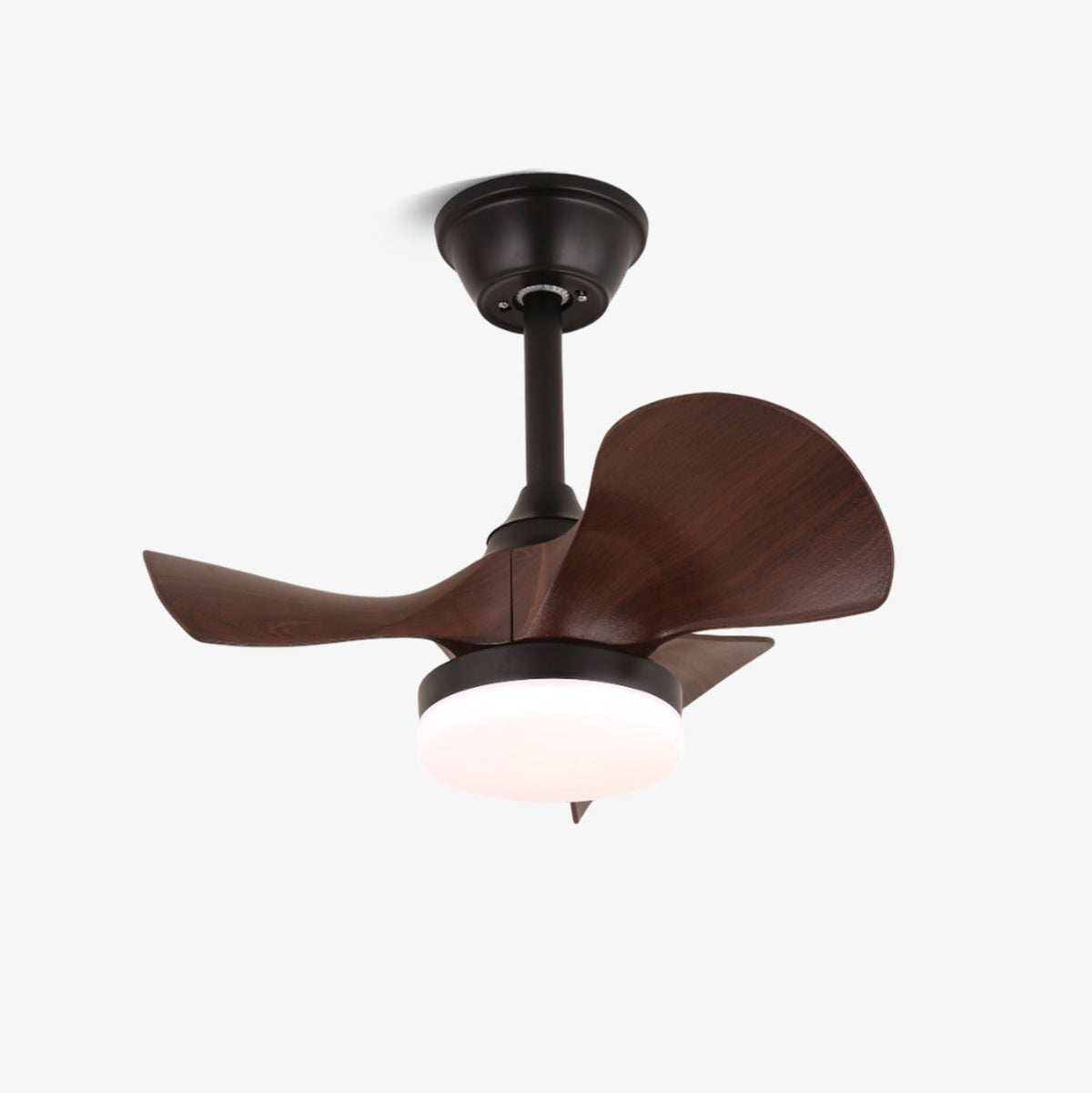 Ventilador de techo con luz Borela – vista principal