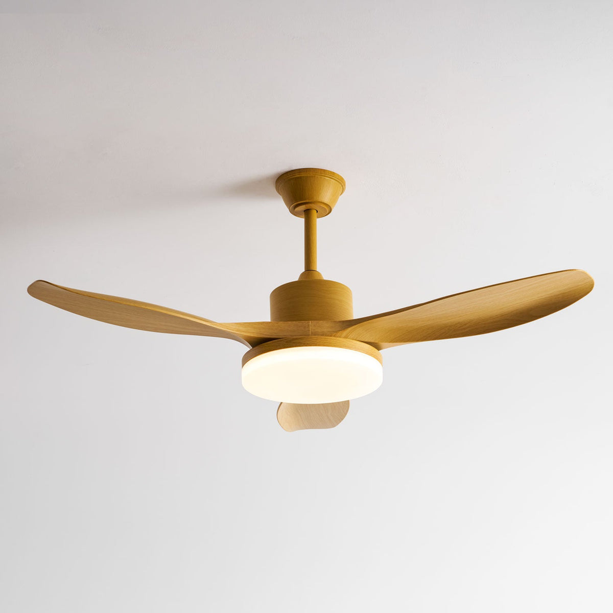 Ventilador de techo con luz Fresnia en un salón natural – imagen 10