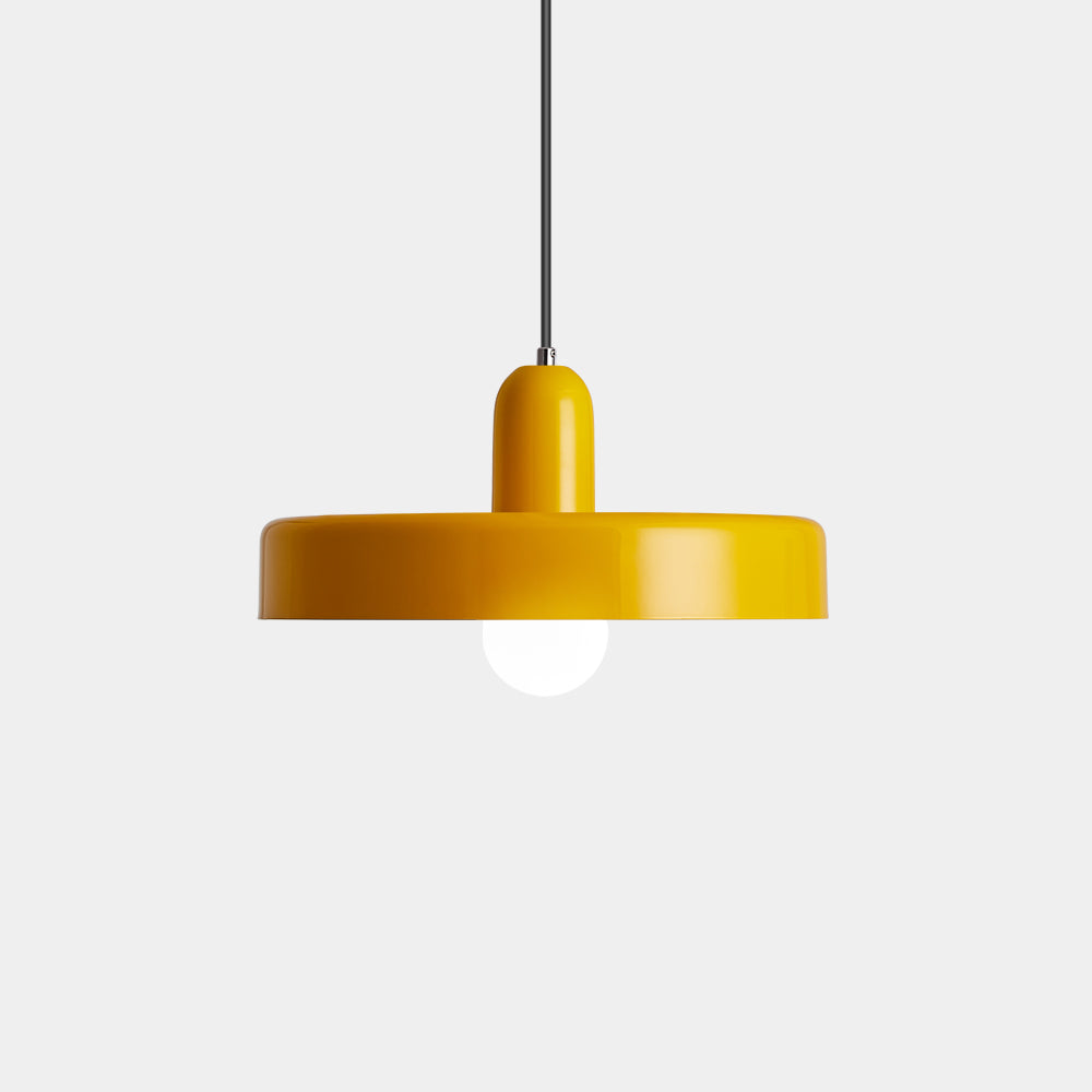 Lámpara Colgante Moderna de Hierro Colorida para Techo – Diseño Artístico para Sala de Estar y Espacios Contemporáneos 19