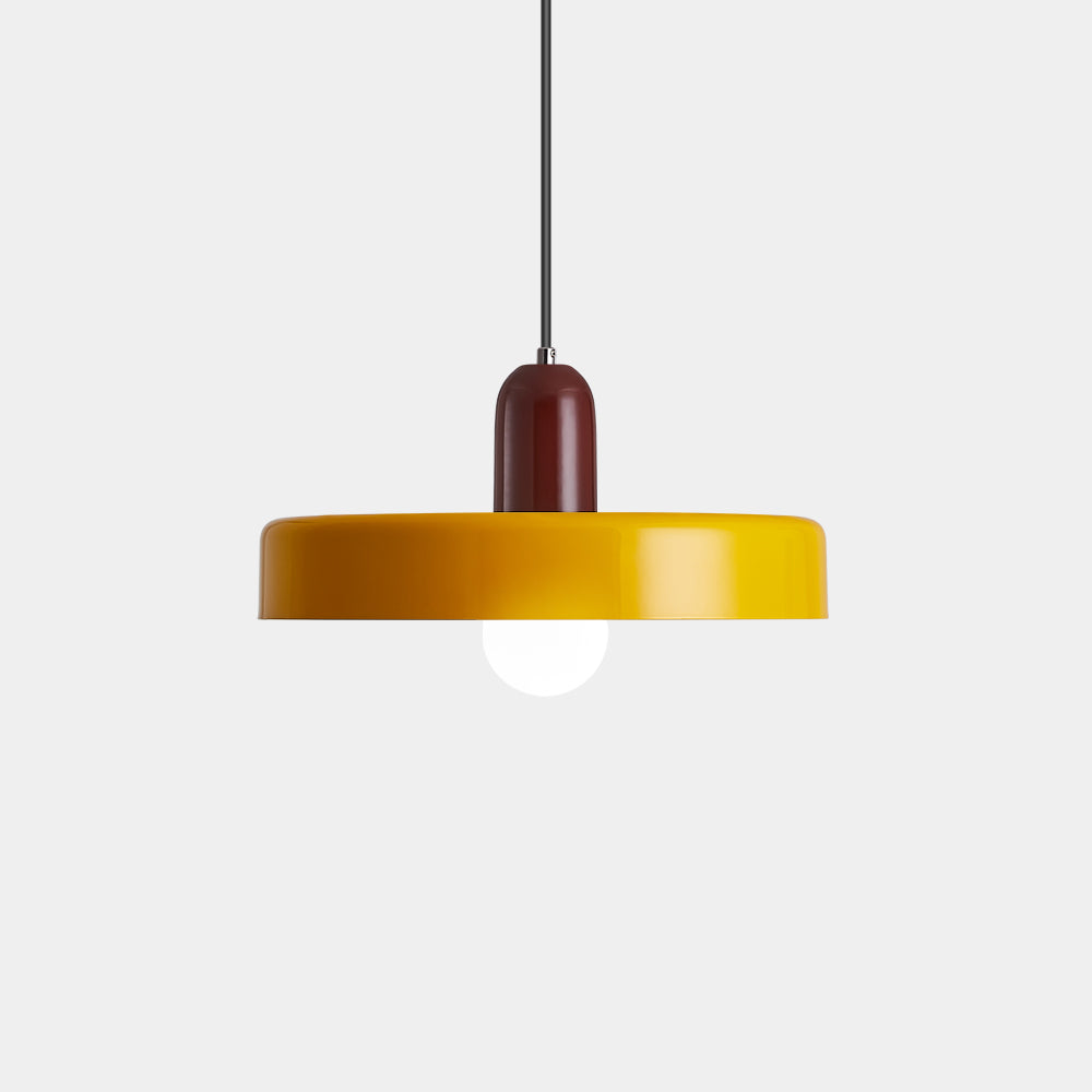 Lámpara Colgante Moderna de Hierro Colorida para Techo – Diseño Artístico para Sala de Estar y Espacios Contemporáneos 21