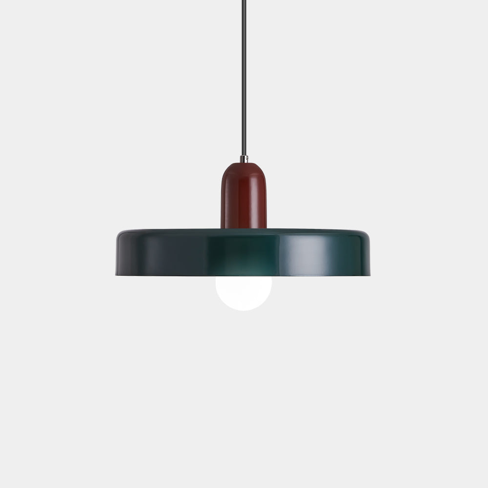 Lámpara Colgante Moderna de Hierro Colorida para Techo – Diseño Artístico para Sala de Estar y Espacios Contemporáneos 22