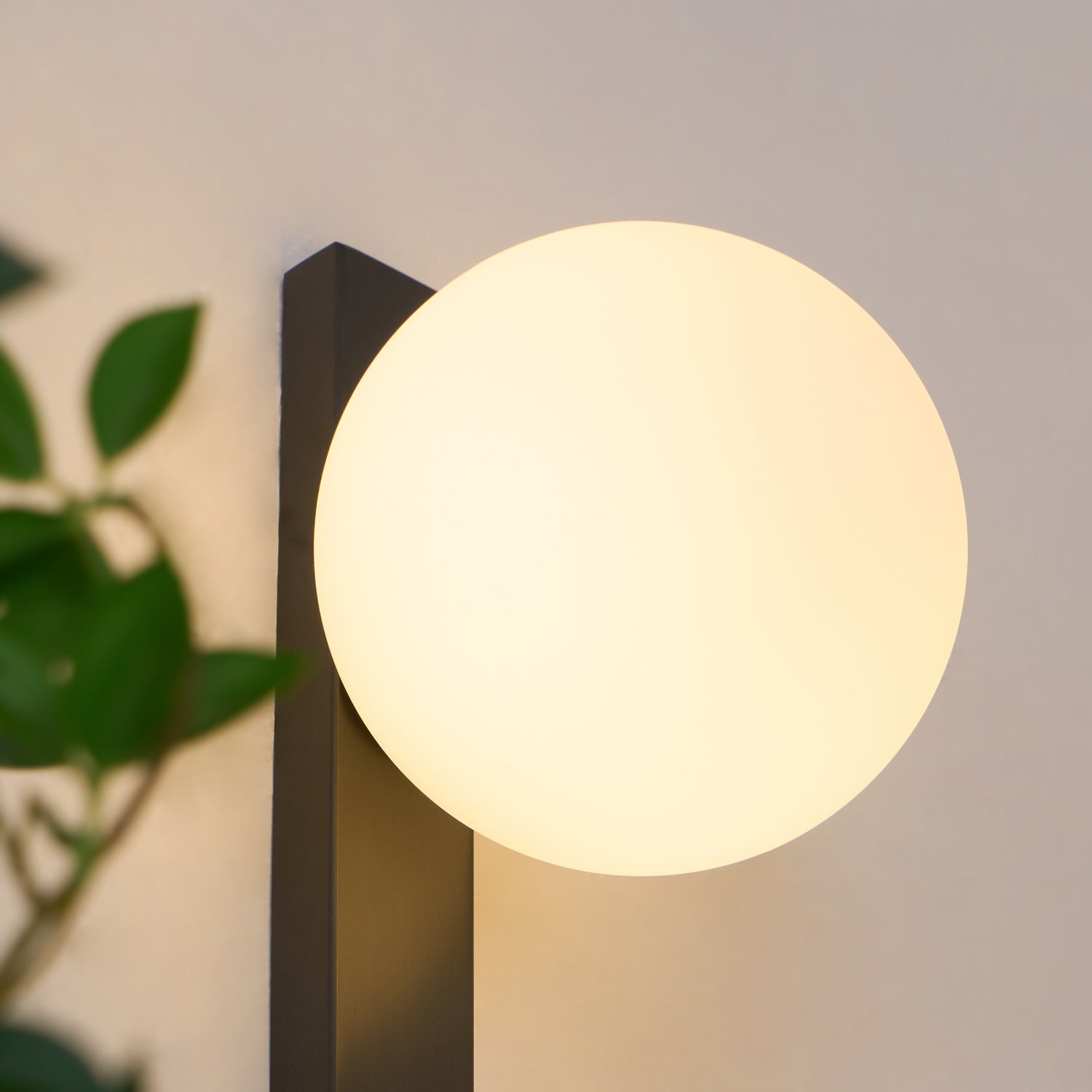 Lámpara de Pared LED Moderna Circ 3720, Difusor Esférico, Acabado Negro, Ideal para Interiores, 15.7 cm Diámetro 7