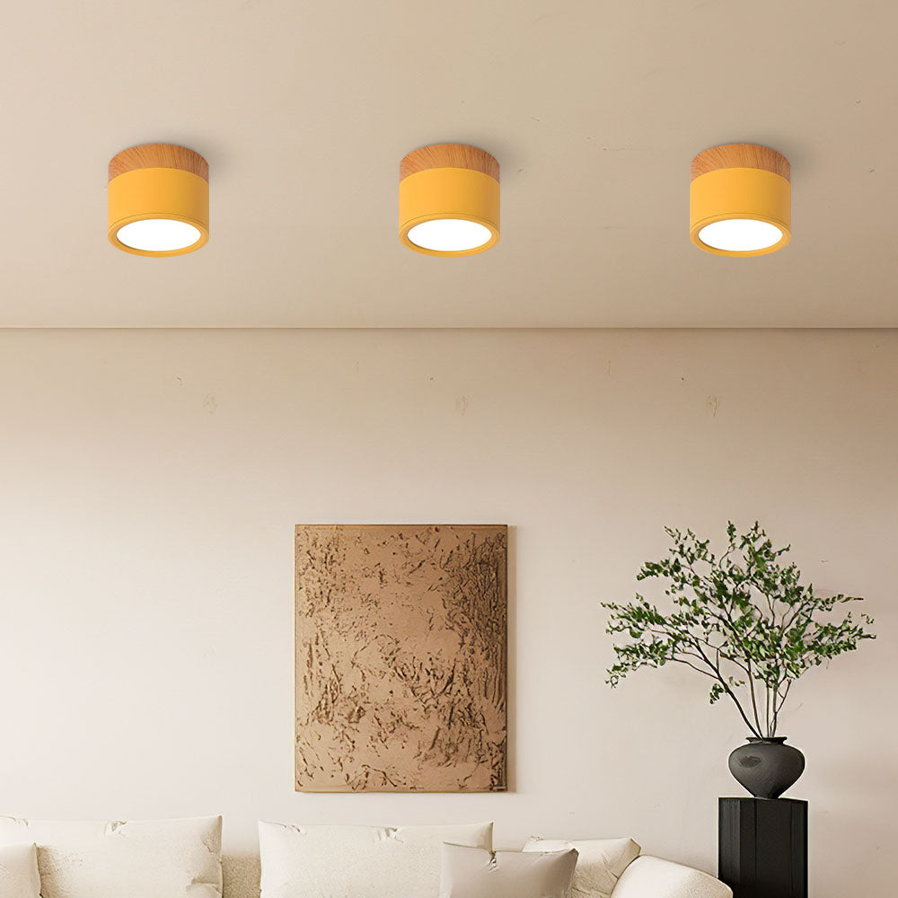 Lámpara de Techo Cilíndrica Pequeña LED Moderna y Elegante para Interiores - Iluminación Compacta y Eficiente 14