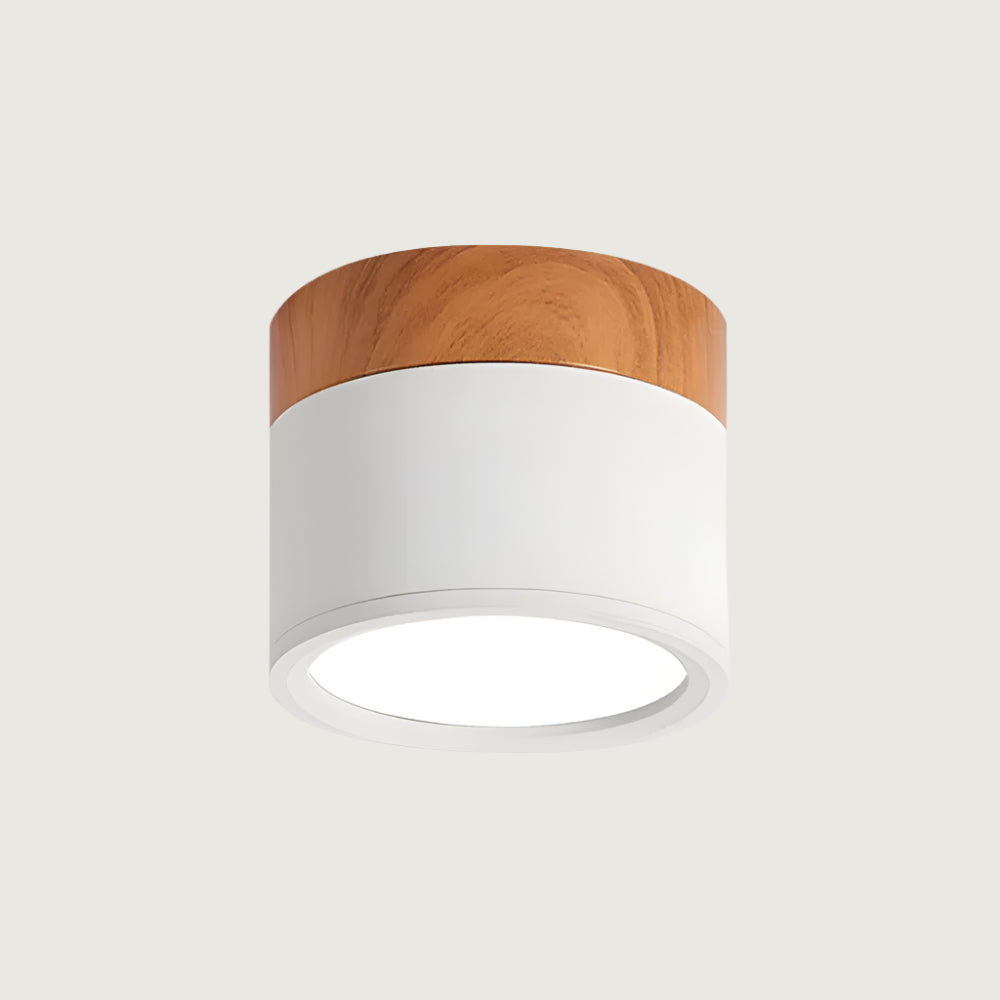 Lámpara de Techo Cilíndrica Pequeña LED Moderna y Elegante para Interiores - Iluminación Compacta y Eficiente 4