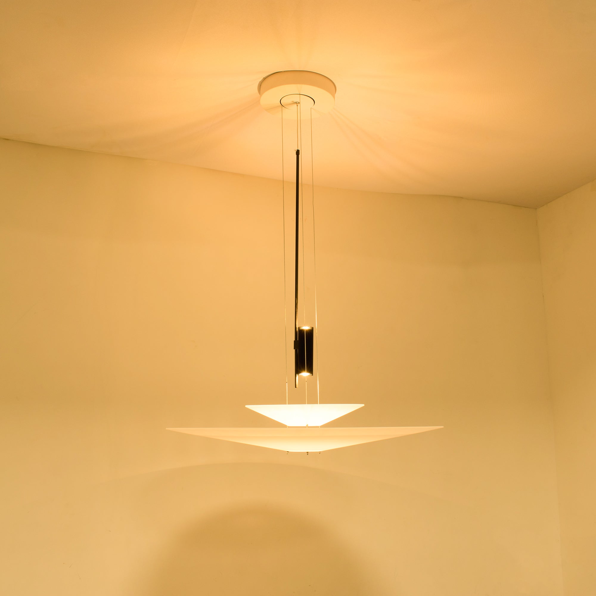 Lámpara de Techo Flamingo con Difusor de Acrílico y LED – Varios Tamaños y Acabados 8